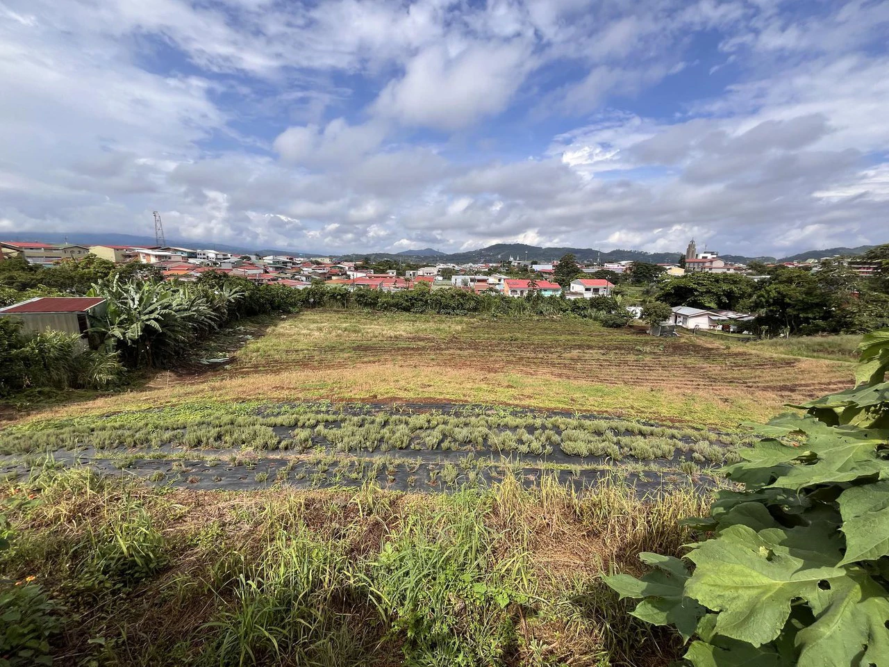 San Ramón Alajuela, Occidente del GAM, Propiedad para desarrollo en venta.: Development Parcel For Sale in San Ramón