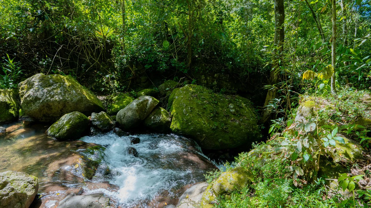 Riverfront Mushroom Farm & Private Waterfall Residence in Orosi - Gallery image 67