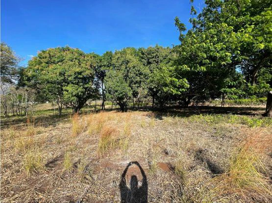 For Sale: This beautiful flat lot in La Ceiba of Orotina - Gallery image 10