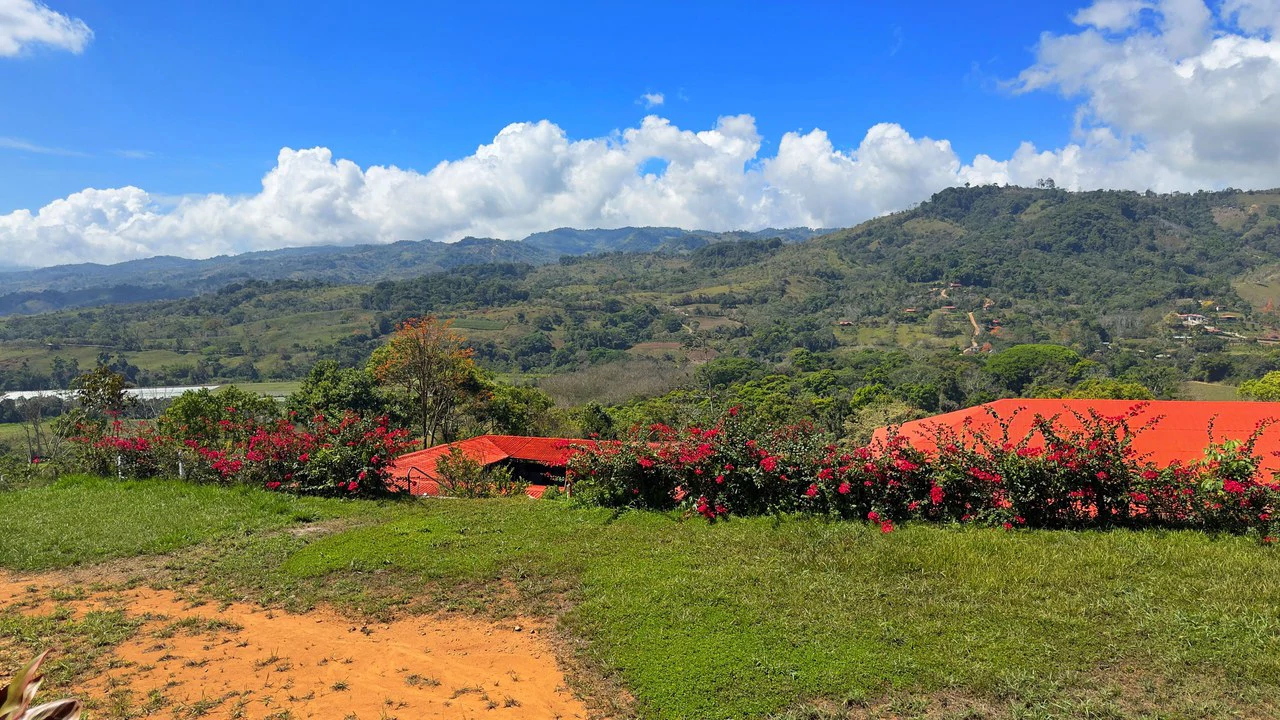 Agricultural Land For Sale in Daniel Flores - Gallery image 23