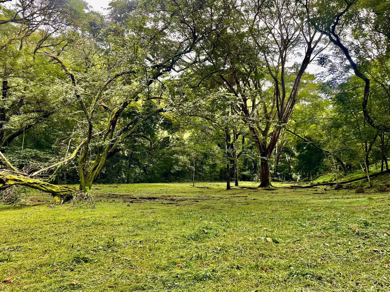 Property for Sale for Tourism Development with River in Orotina Alajuela Costa Rica - Gallery image 6