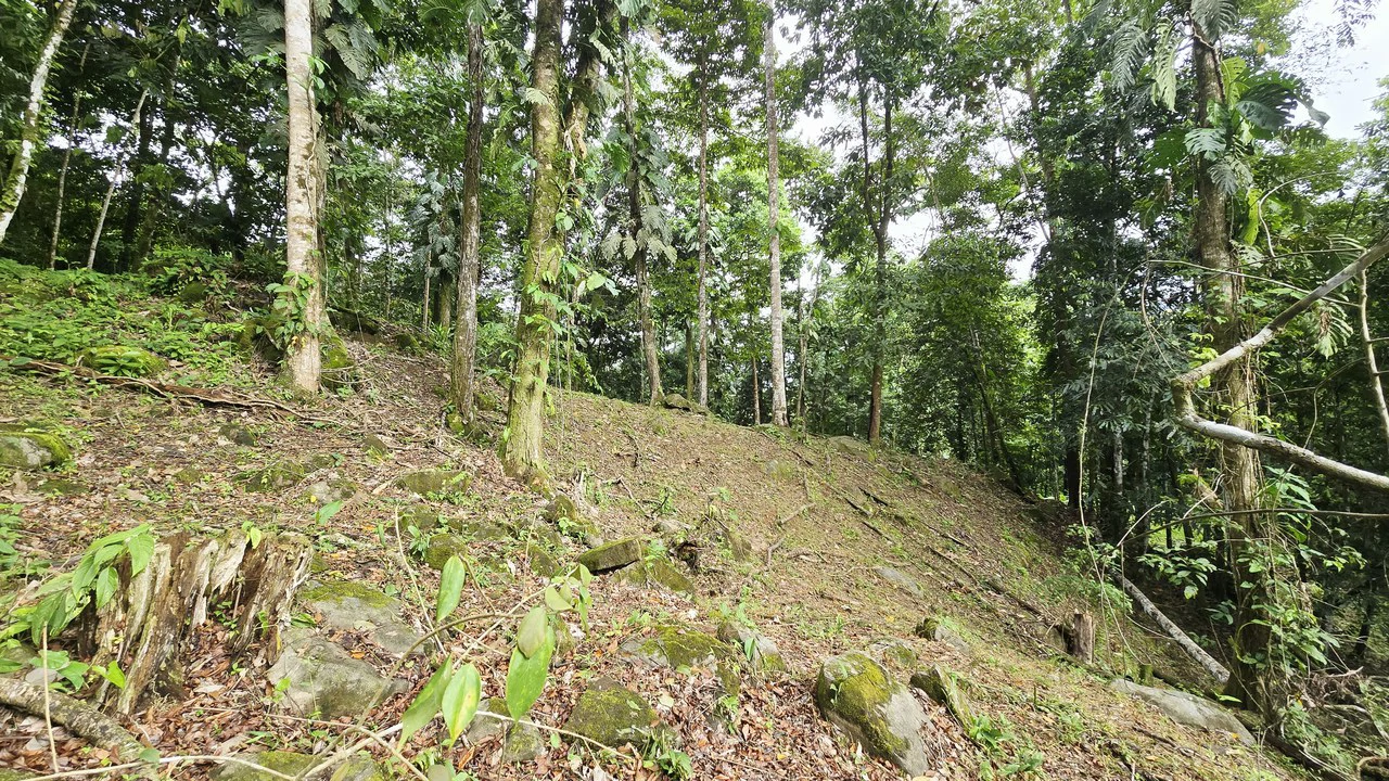 Near the Coast Home Construction Site For Sale in Uvita - photo 14