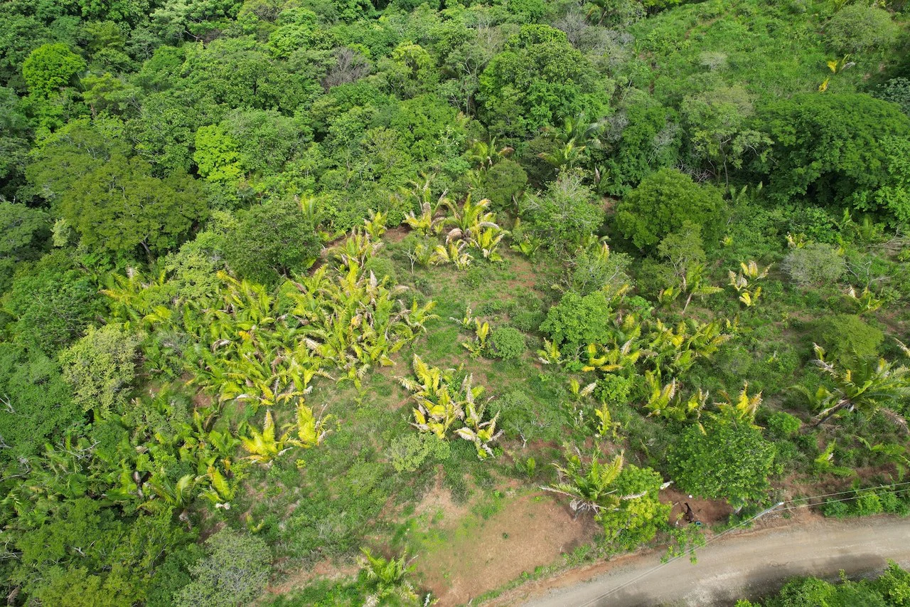 Lotes Paraíso: Spectacular Ocean and Mountain View 5.77 acres Development Land - Gallery image 7