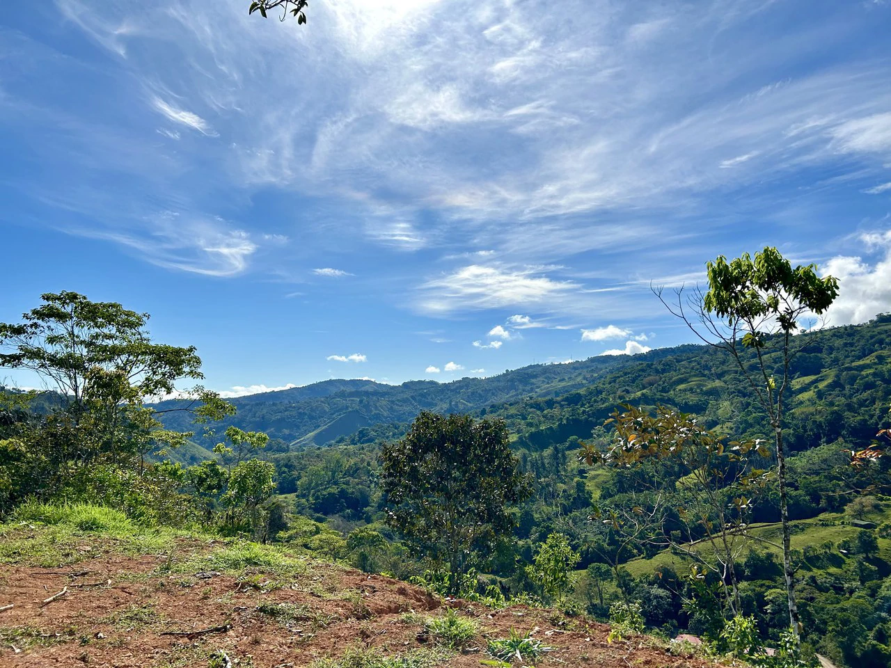 Finca Ceibo Memo: Mountain Home Construction Site For Sale in San Isidro del General - Gallery image 27