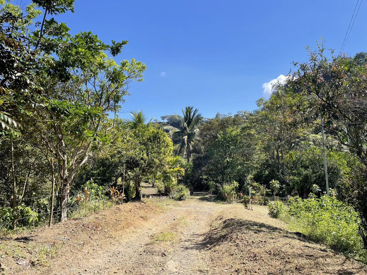 Home Construction Site For Sale in Ciudad Colón - Gallery image 2