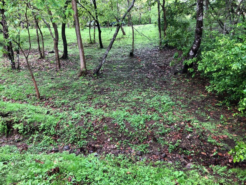 Lot in exclusive Residential, close to Beach Tamarindo - Gallery image 30