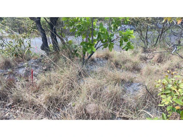 Zoning for homes, apartments, and warehouses in the mountains of Liberia, Beautiful 9.7 ha land with building permits - Gallery image 14