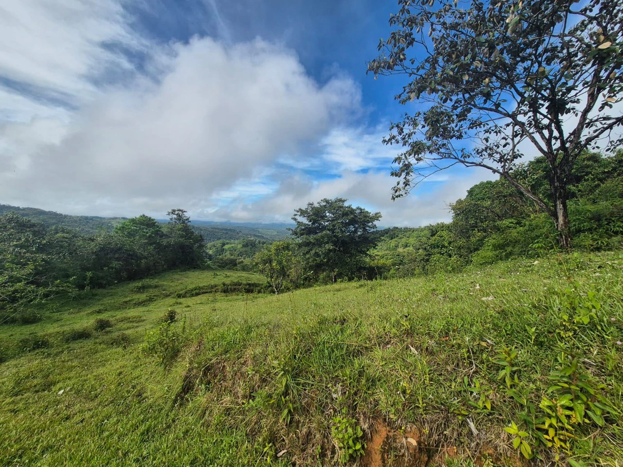 Propiedad en San Blas: Mountain Agricultural Land For Sale in La Linda General Viejo - Gallery image 26