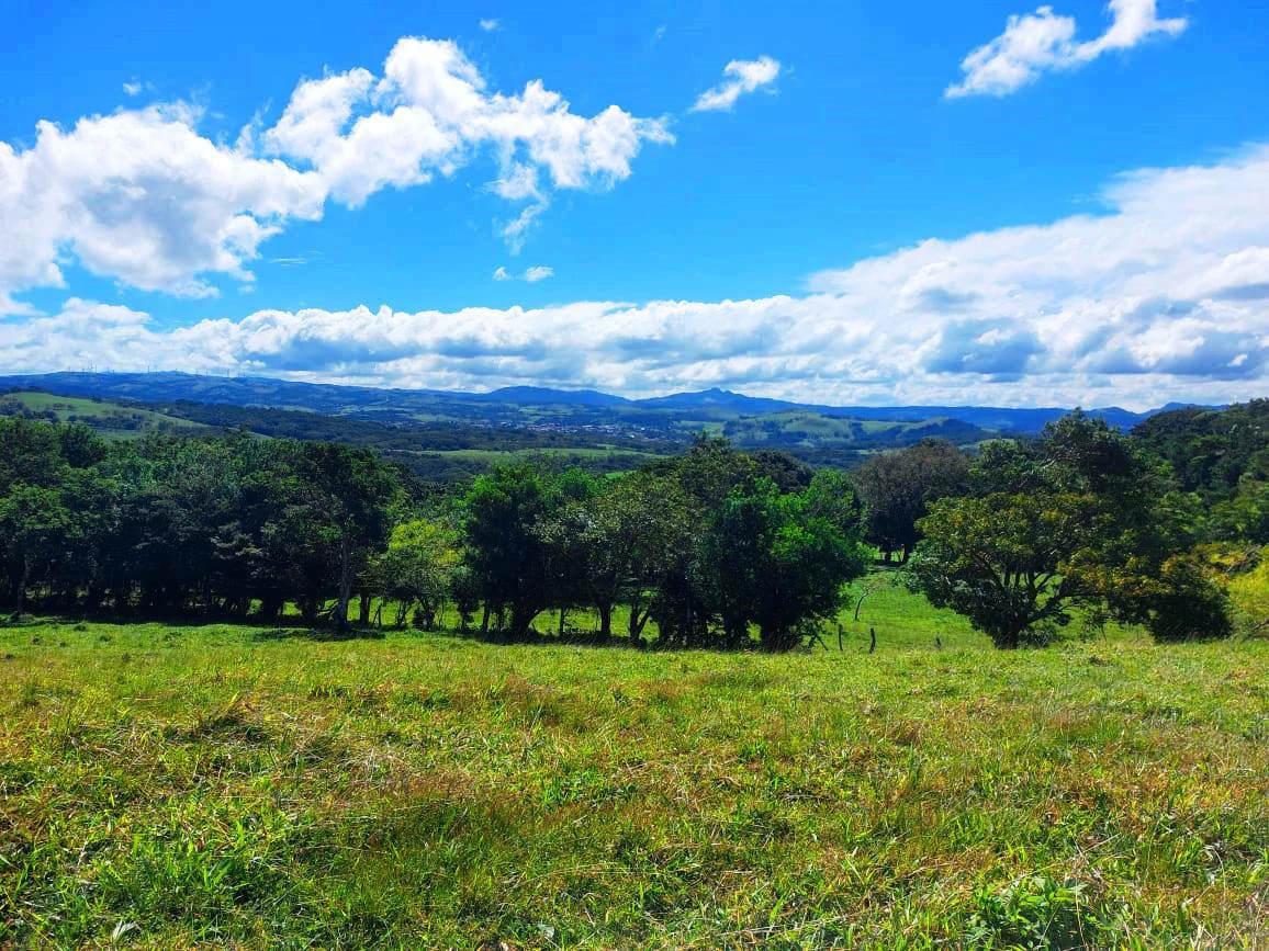 LA CABAÑA - COUNTRY ESTATE WITH HUGE POTENTIAL - Gallery image 27