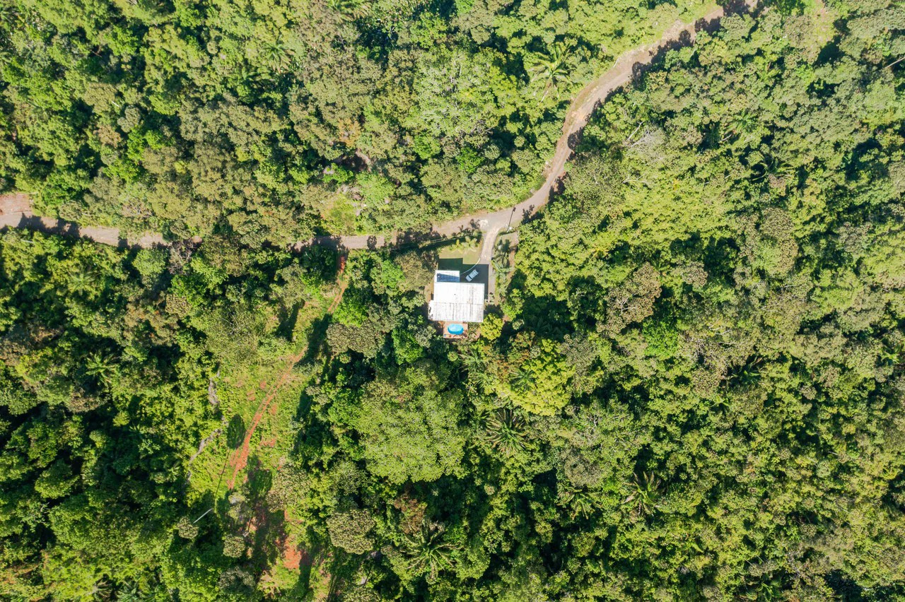 Casa Fox Las Palmas: Mountain House For Sale in Quepos - Gallery image 32