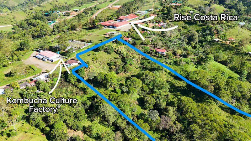Lote frente a RISE: Mountain Agricultural Land For Sale in El General - Gallery image 2