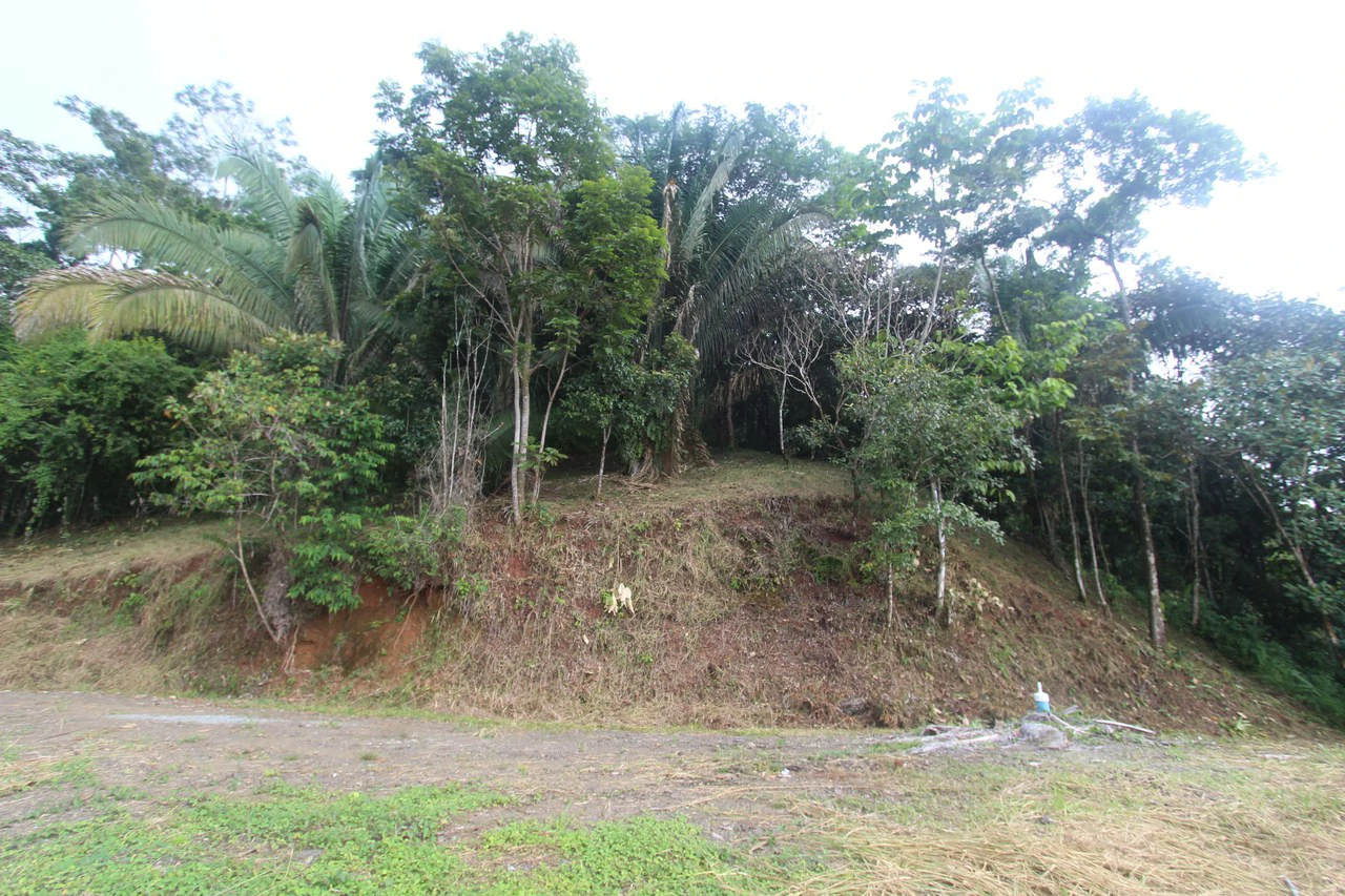 Whitewater Sunset Ocean View Lot Close to Dominical Beach - Gallery image 23