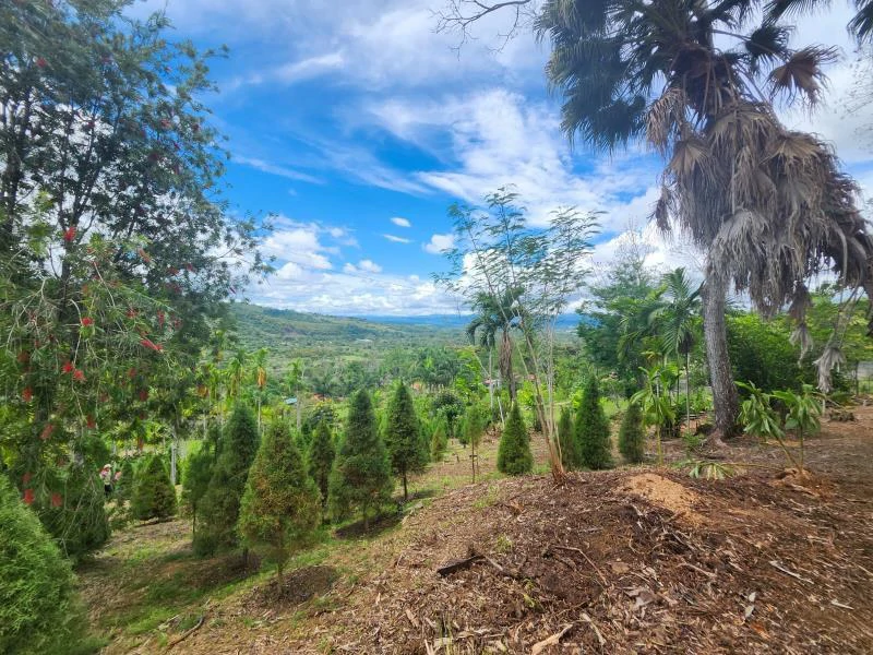 Propiedad en La Bonita Emma-137480: Mountain and Countryside Home Construction Site For Sale in San Isidro del General