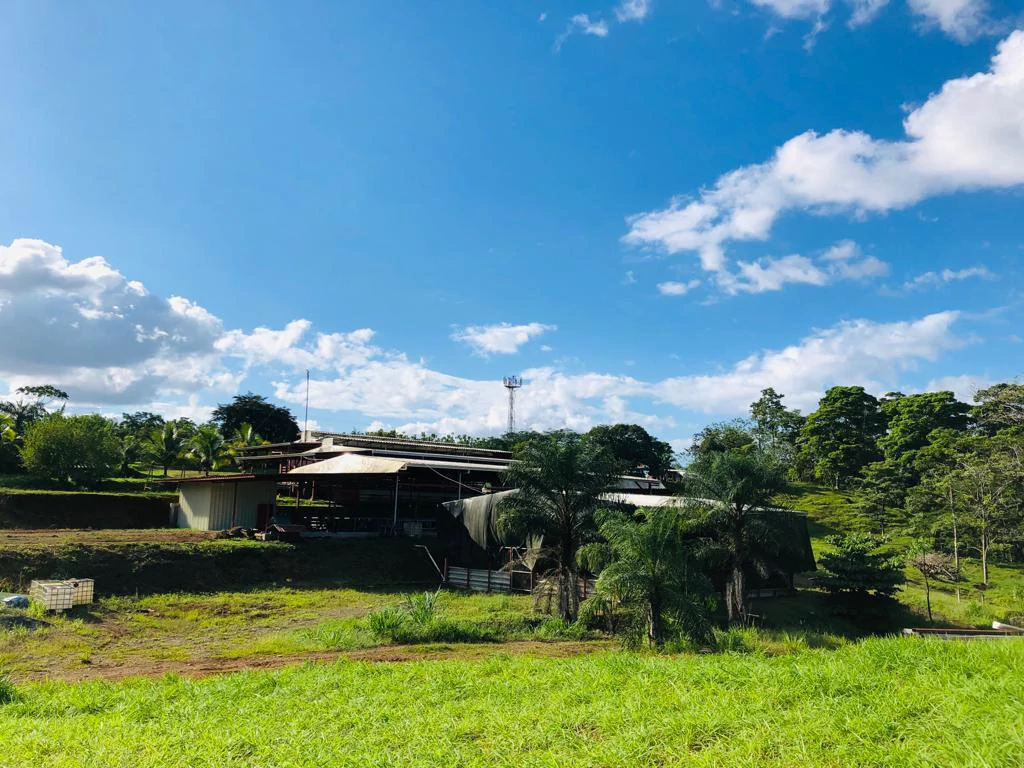 Professional Milk Factory for Sale with a big house in the mountains of Bijagua Costa Rica - Gallery image 9