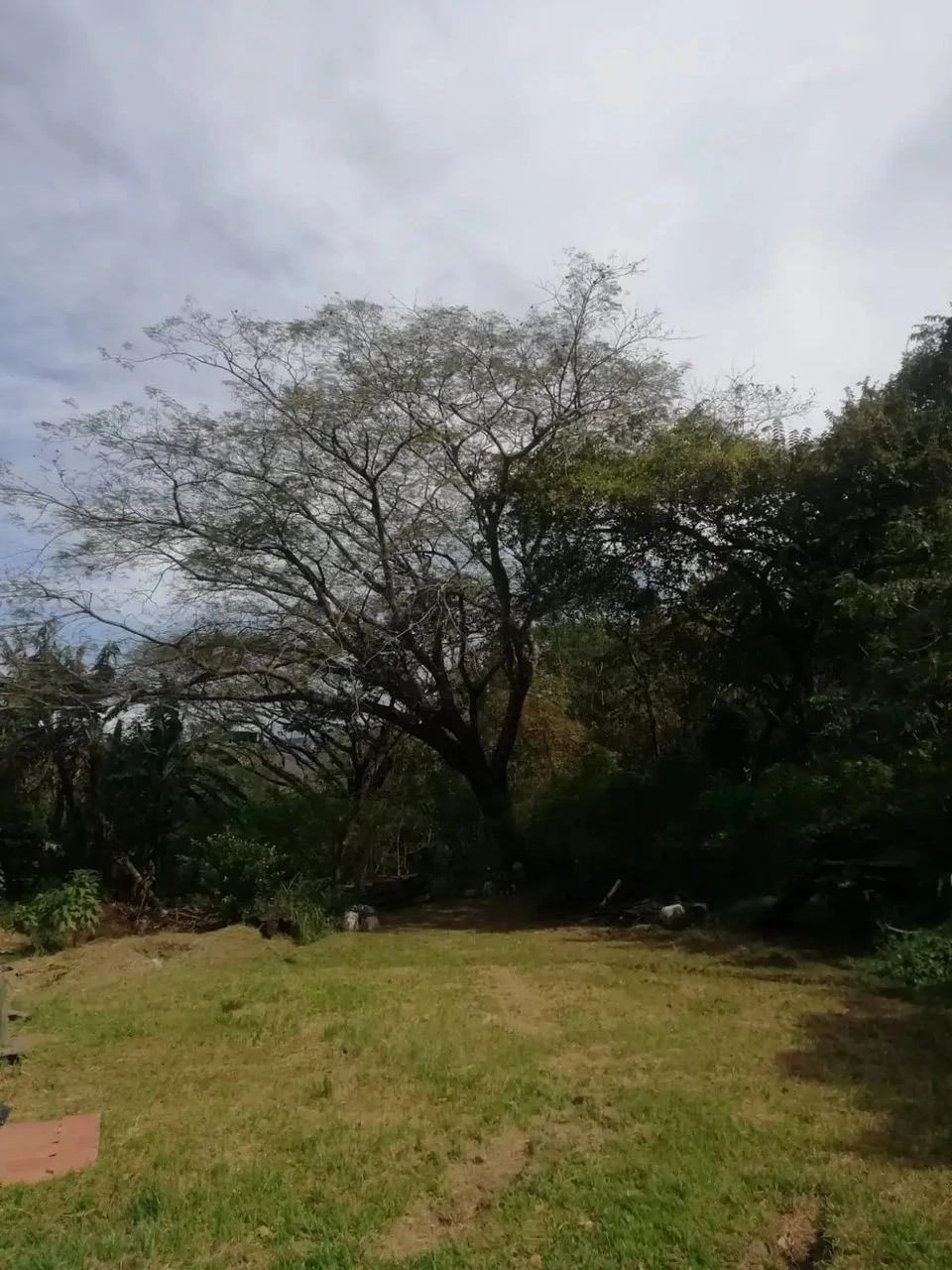 Beautiful lot in Santa Ana for a Developer