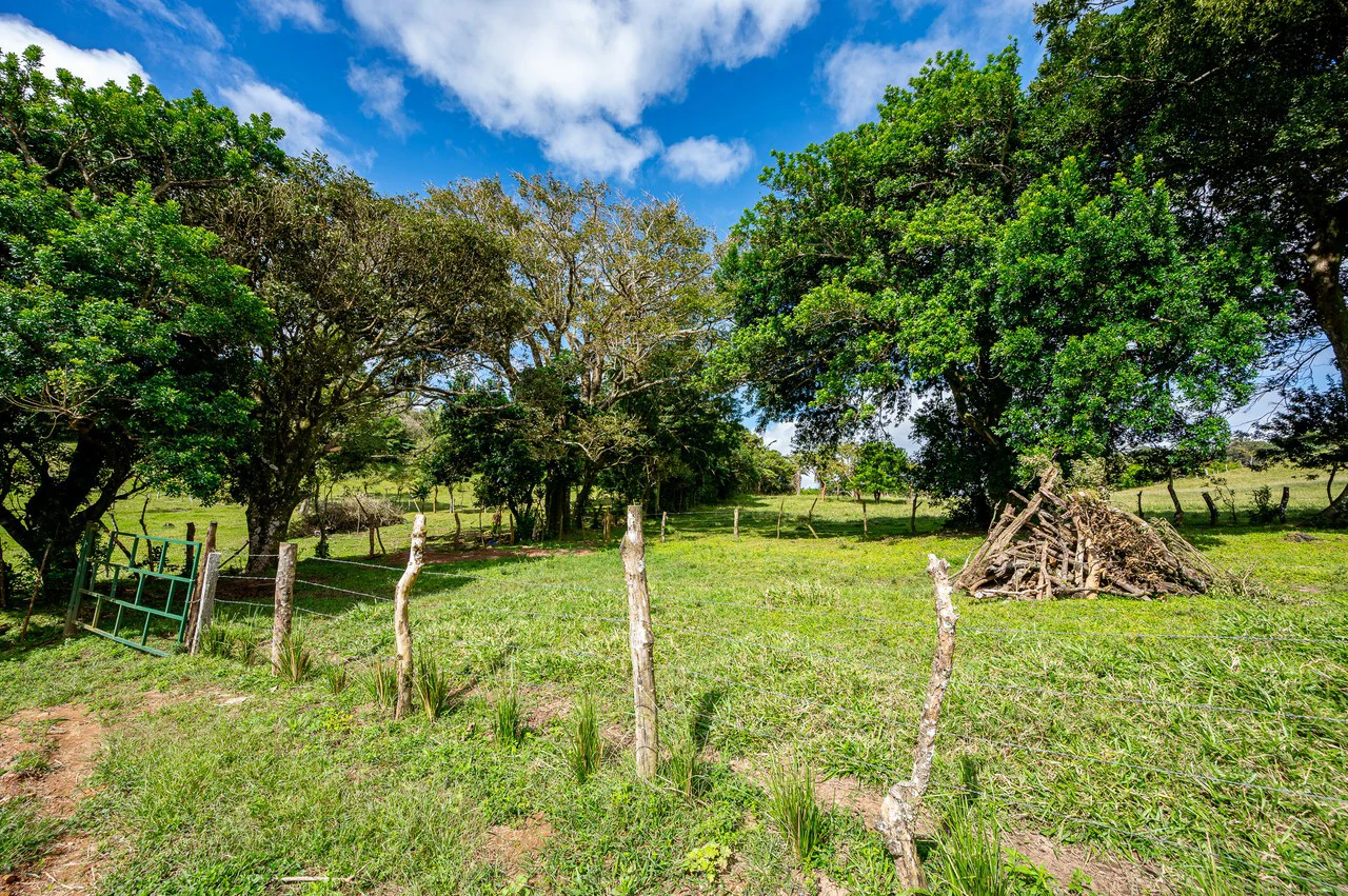 LA CABAÑA - COUNTRY ESTATE WITH HUGE POTENTIAL - Gallery image 53