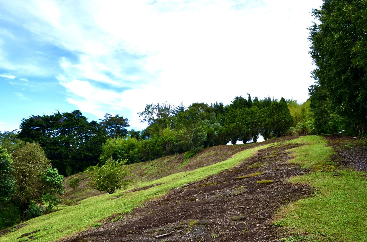 Farm for sale in Santa Barbara de Heredia - Gallery image 30