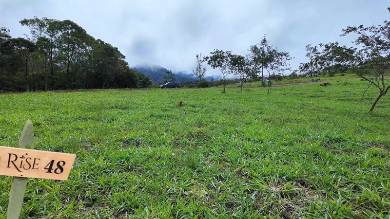lote 48 RISE: BEAUTIFUL LOT FOR SALE IN THE HEART OF RISE COSTA RICA WITH CREEK (63,475 SQFT) - Gallery image 4