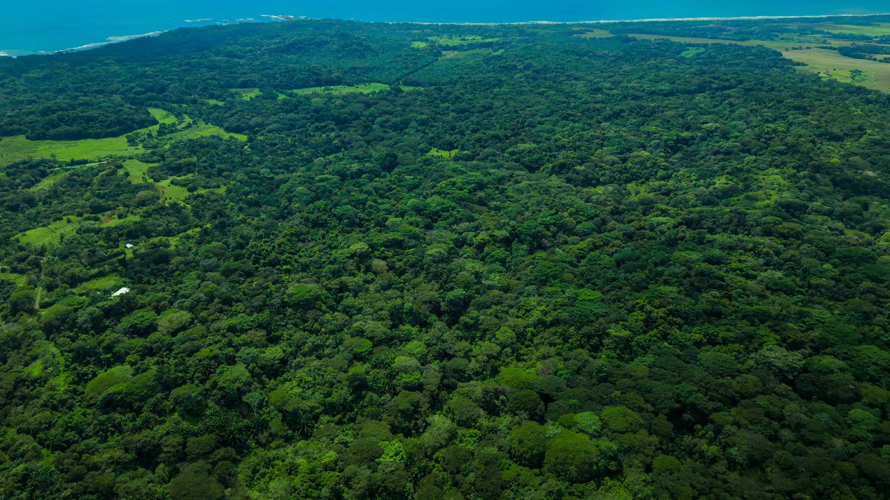 4,850 Acre Beachfront Legacy Ranch Esterillos Central Pacific Coast - Gallery image 30