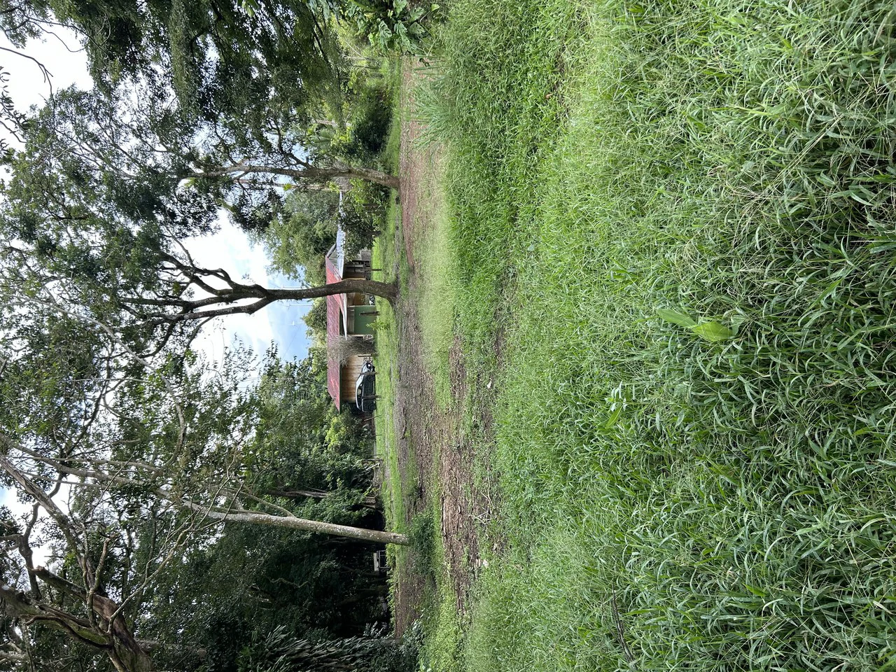 Lake Arenal Area - Sabalito - Great Location - Fantastic Price - Gallery image 10