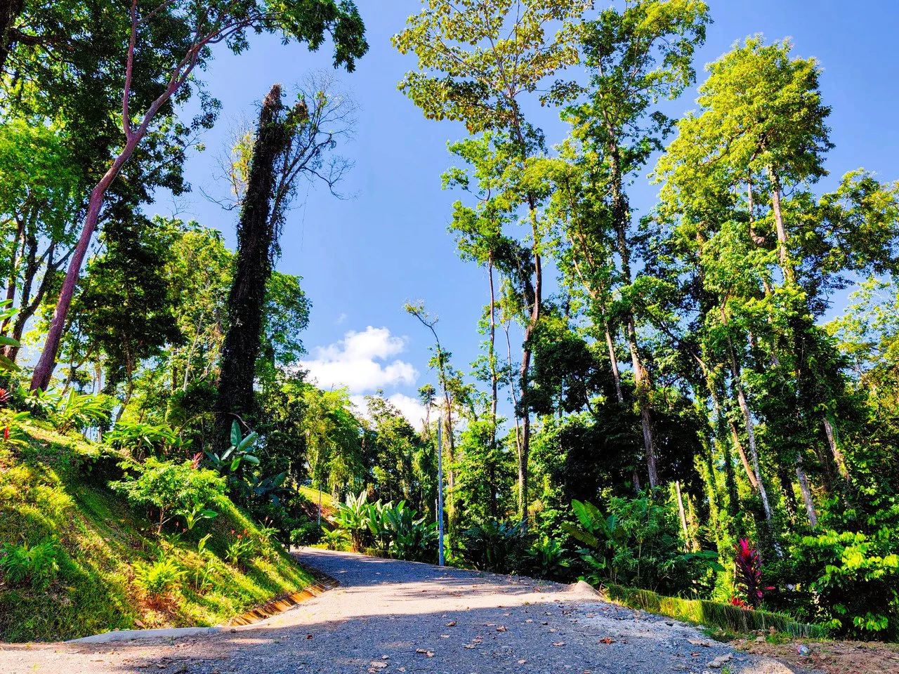 ID 4193: Ocean View Residential Lot for Sale near Puerto Viejo, Caribbean Costa Rica - Gallery image 10