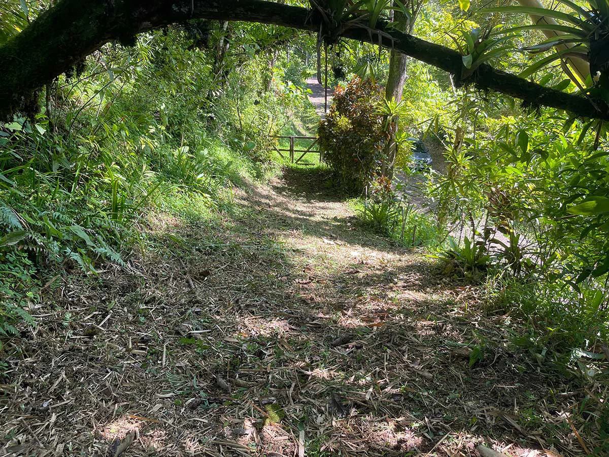 ID 4167: Investment Opportunity: 8-Acre Reforested Mountain Finca in Puriscal - Gallery image 24
