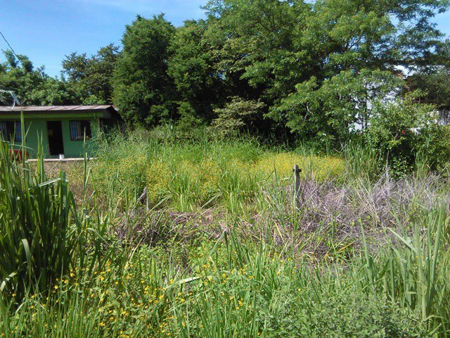 Discovery Park. Property with excellent location