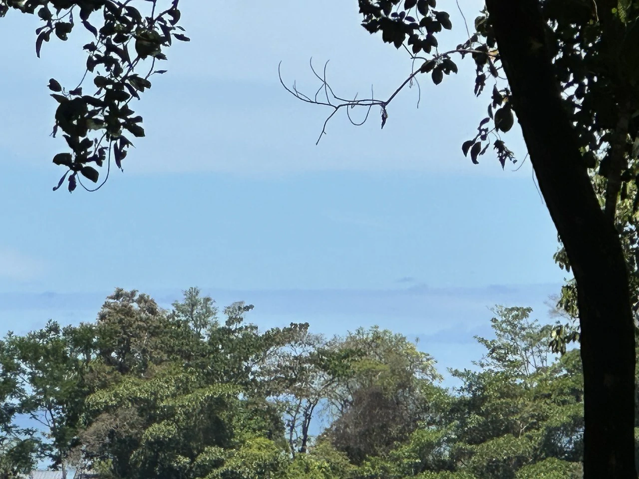 Ocean View Lot in Paradise Breezes, Hatillo - Ready to build - Gallery image 4