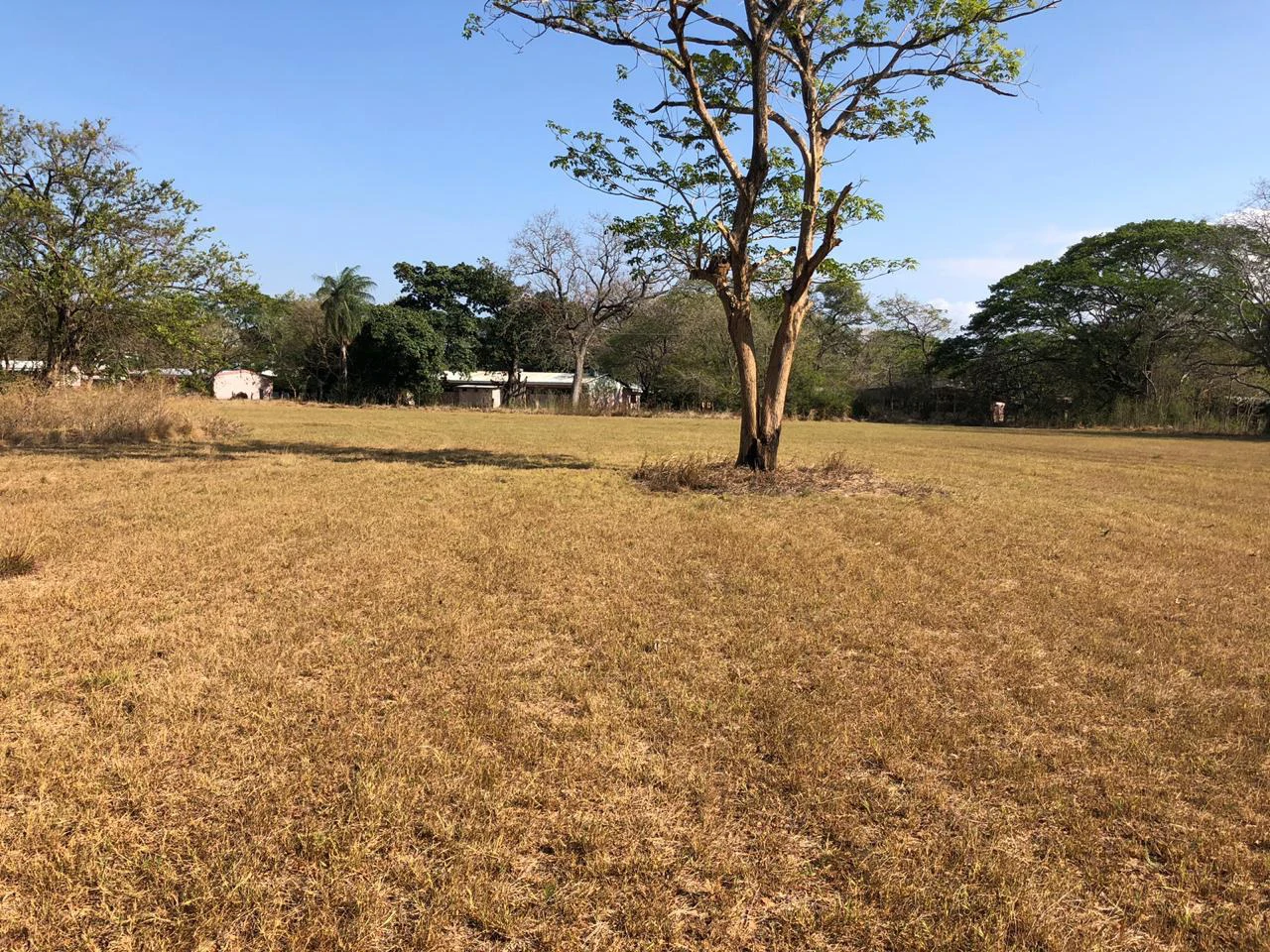 Large property with warehouses in Filadelfia, Carrillo - Gallery image 5