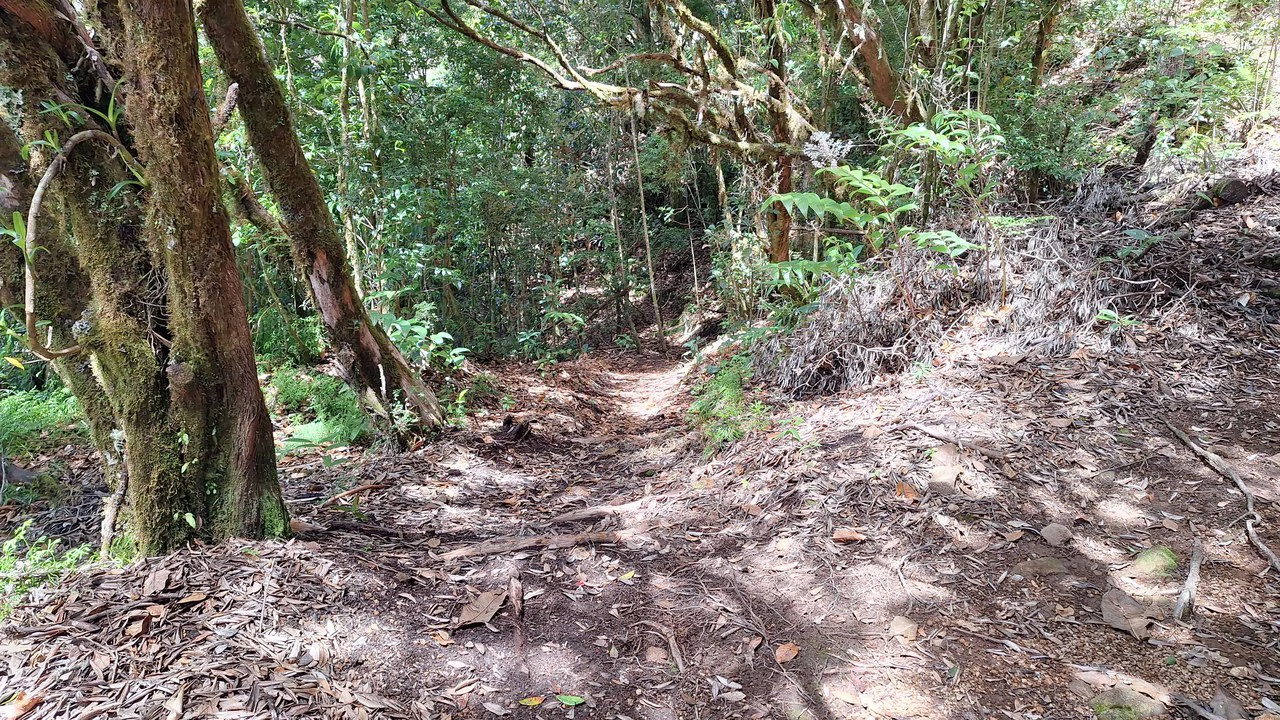 Se vende propiedad Ubicada en División de Paramo.: Mountain Home Construction Site For Sale in Division de Páramo - Gallery image 6