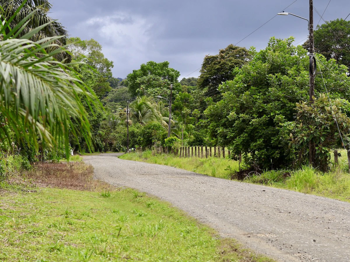 Large Building Lot Near Puerto Jiménez - Gallery image 2