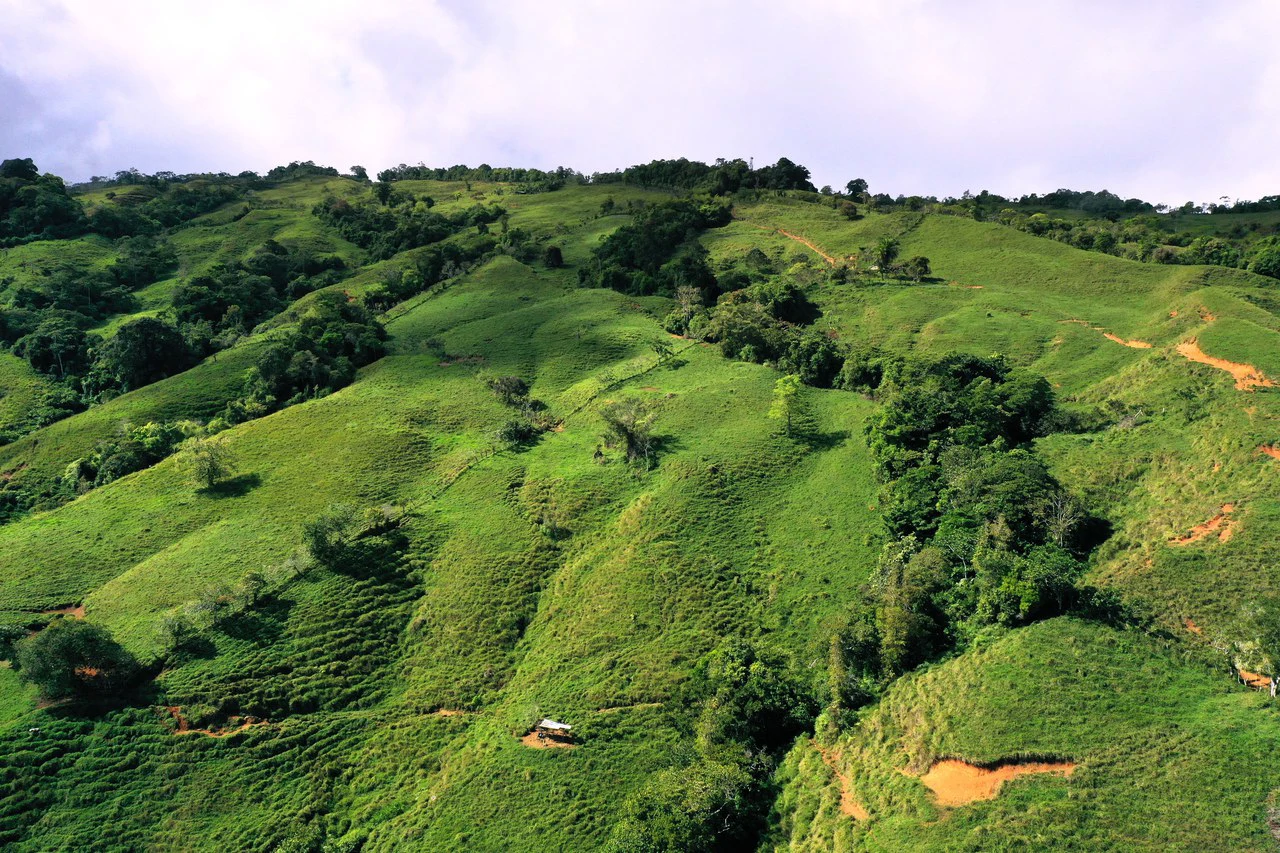 150 Acre Cattle Ranch with Panoramic Views Above the mountains of Uvita - Gallery image 15