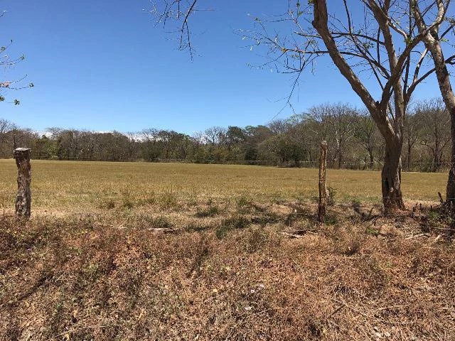Huge terrain for sale in Guardia close to the International Airport of Liberia - Gallery image 9