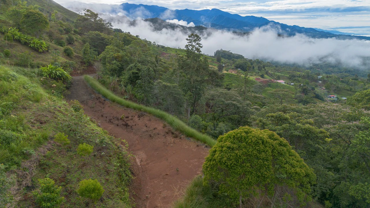 10.21 Acres with Views & Plantels – Pérez Zeledón - Gallery image 19