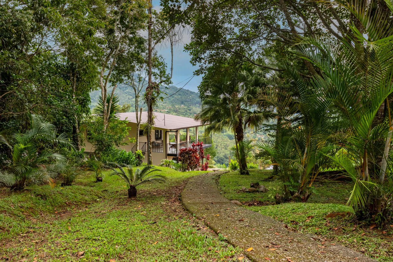 Expansive 27 Acre Farm with Residence in San Isidro del General - Gallery image 10