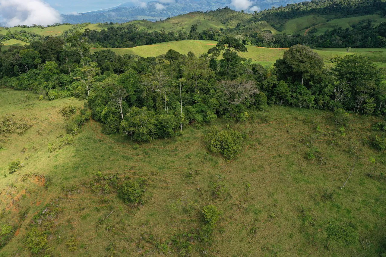 47 Acre Off Grid Ranch with Ocean & Mountain Views San Lorenzo Perez Zeledón - Gallery image 10