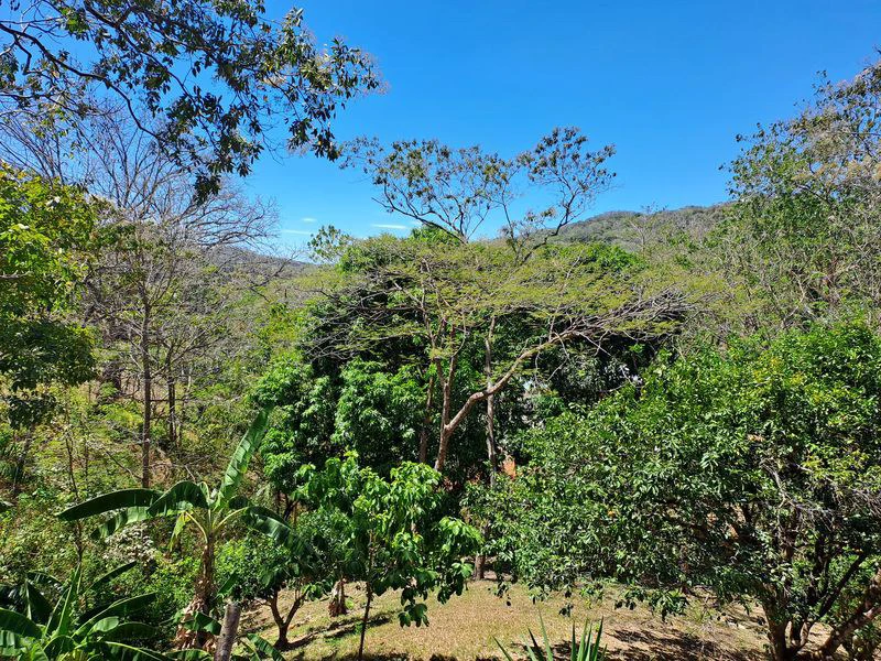 Finca El Colibri: Tropical Oasis of 7000 m2, nestled in nature, featuring 2 Homes & Caravan Studio, Near Carrillo & Samara Beaches - Gallery image 21