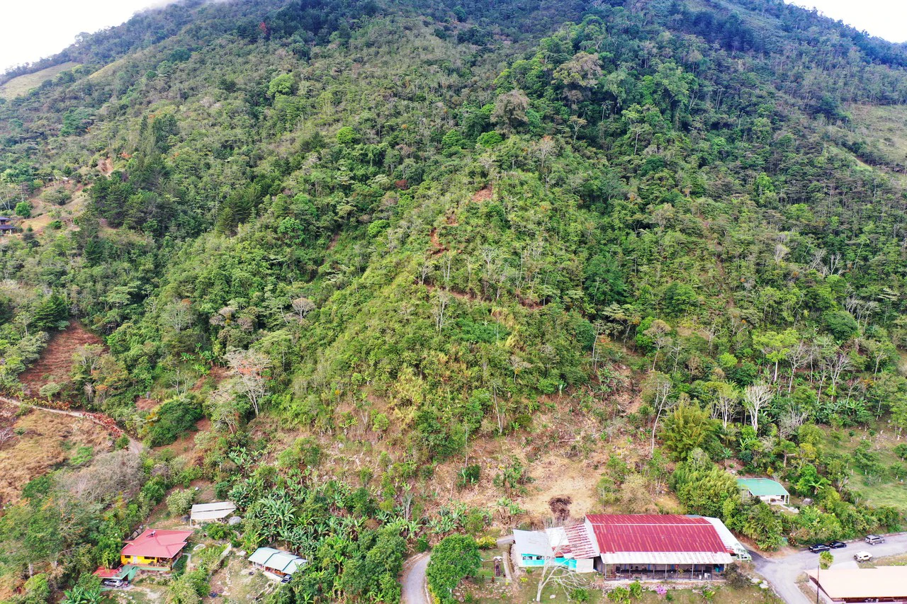 Canaan de Rivas 10 acres Above San Isidro - Gallery image 18