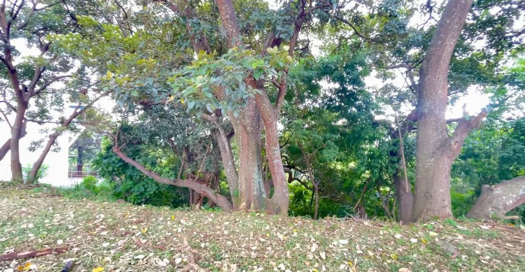 Commercial land for sale in front of Avenida Escazú and Hospital CIMA Costa Rica high capital gains - Gallery image 7