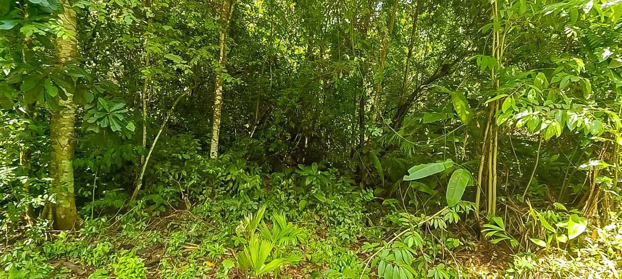 LAND FOR SALE IN COSTA ESTERILLOS ESTATES - Gallery image 7