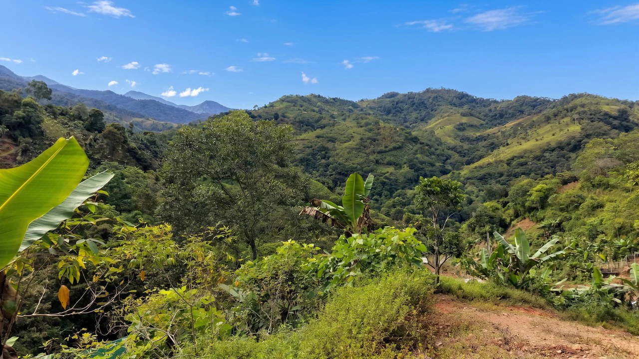 Mountain Home Construction Site For Sale in Chimirol de Rivas - photo 2