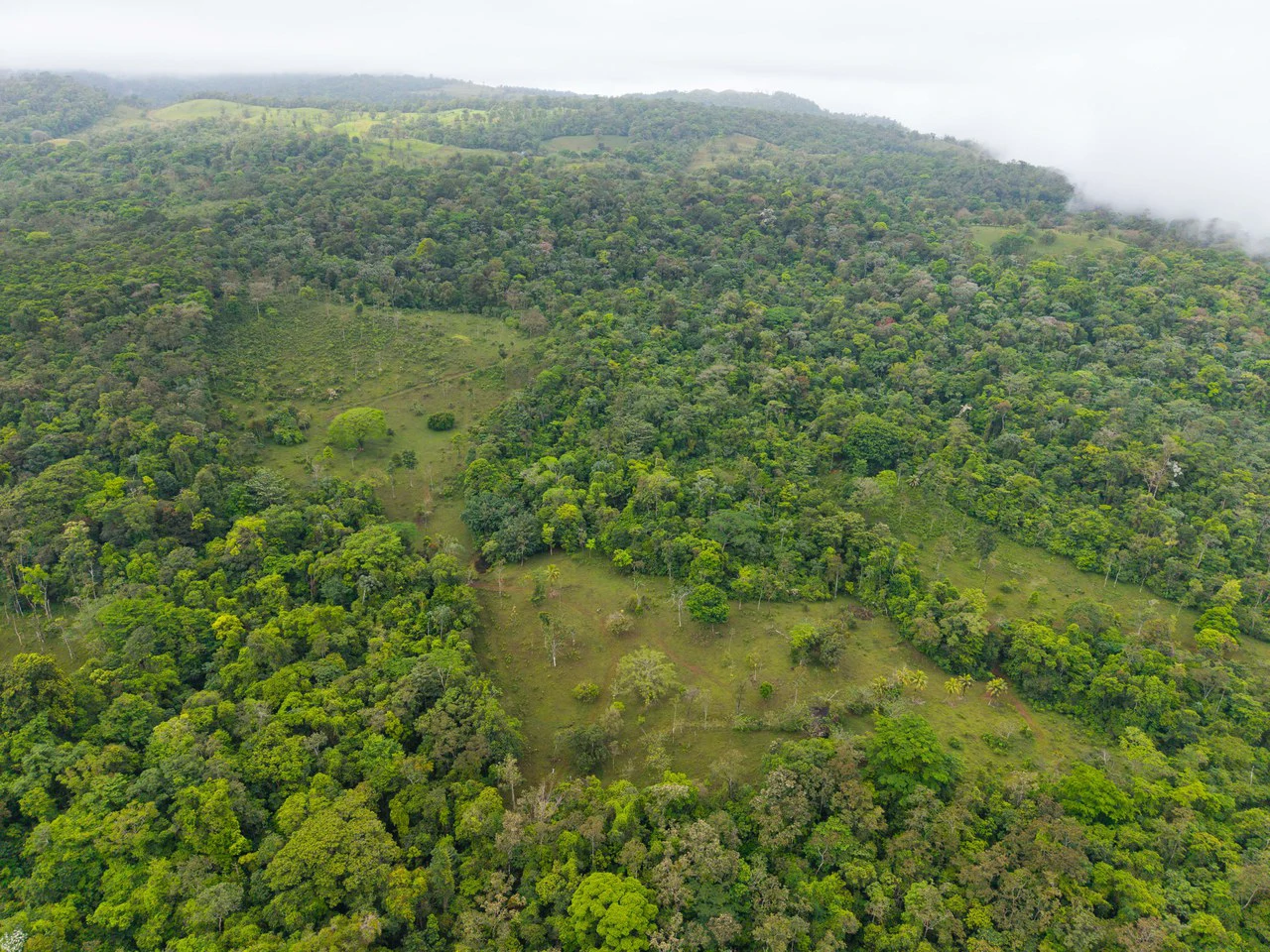 Finca Las Zompopas-Río Celeste: 113-Acre Biodiverse Property in Bijagua, Ideal for Eco-Tourism, Private Retreats, or Sustainable Development - Gallery image 27