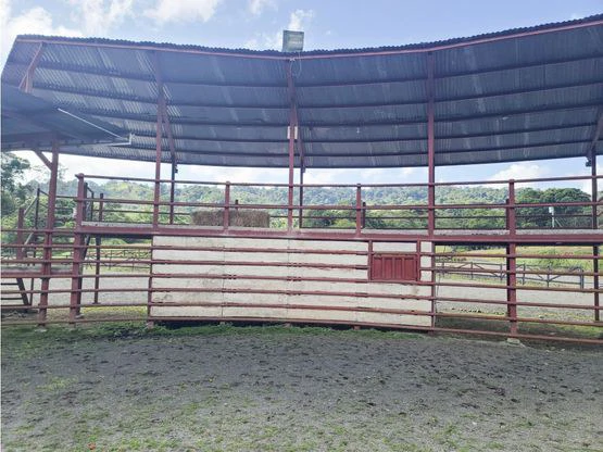 Serene Jungle Farm in Limon Province - Gallery image 53