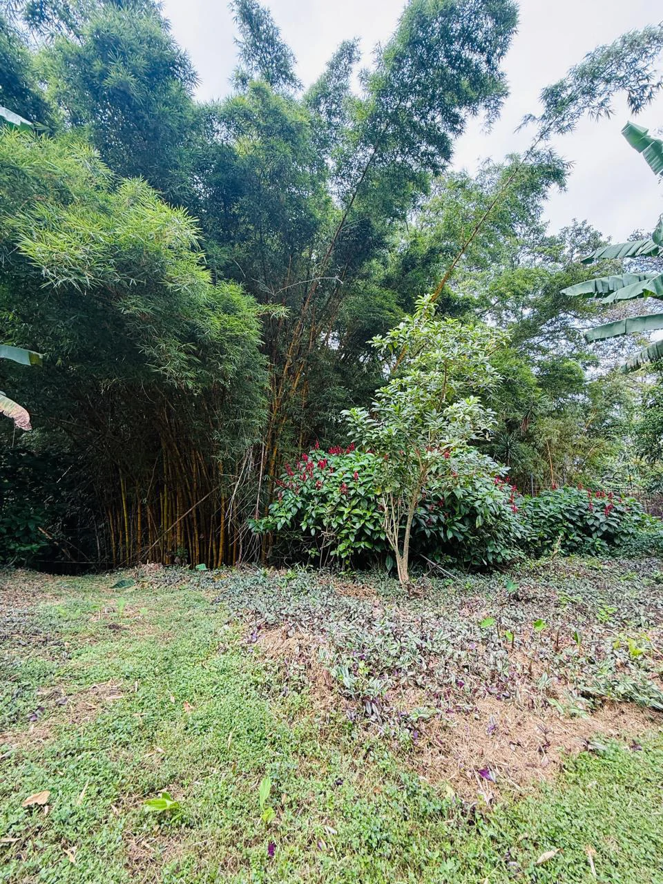 Detached single-family home for sale Costa Rica Escazu with big garden - Gallery image 29