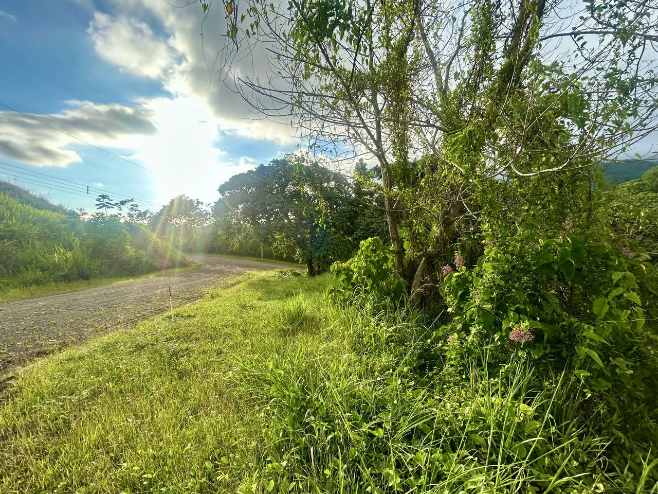 Price Reduced! Panoramic Ocean View Lot in Prestigious Phase 11 Ojochal – 2.77 Acres with Luxury 3D Home Design Included - Gallery image 29