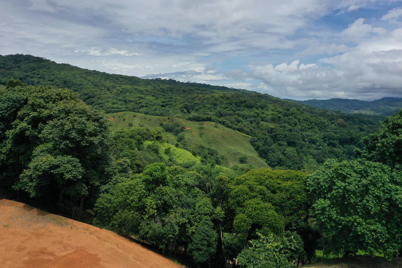 Playa Dominical Mountain Farming Property - Gallery image 8