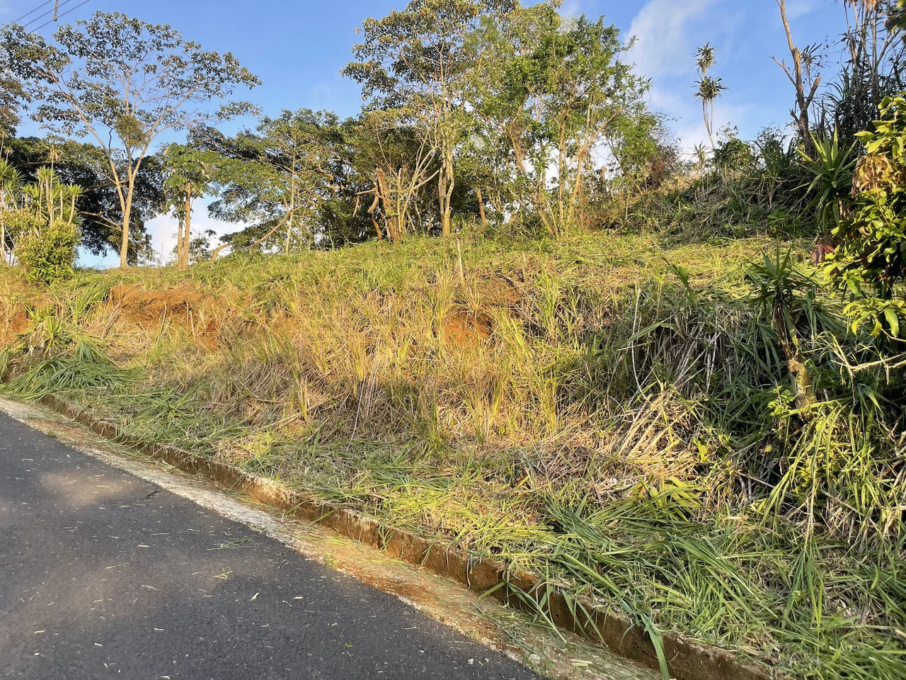 Eco-Lot #1: Ready-to-Build Sustainable Haven with Gulf & Mountain Views - photo 2