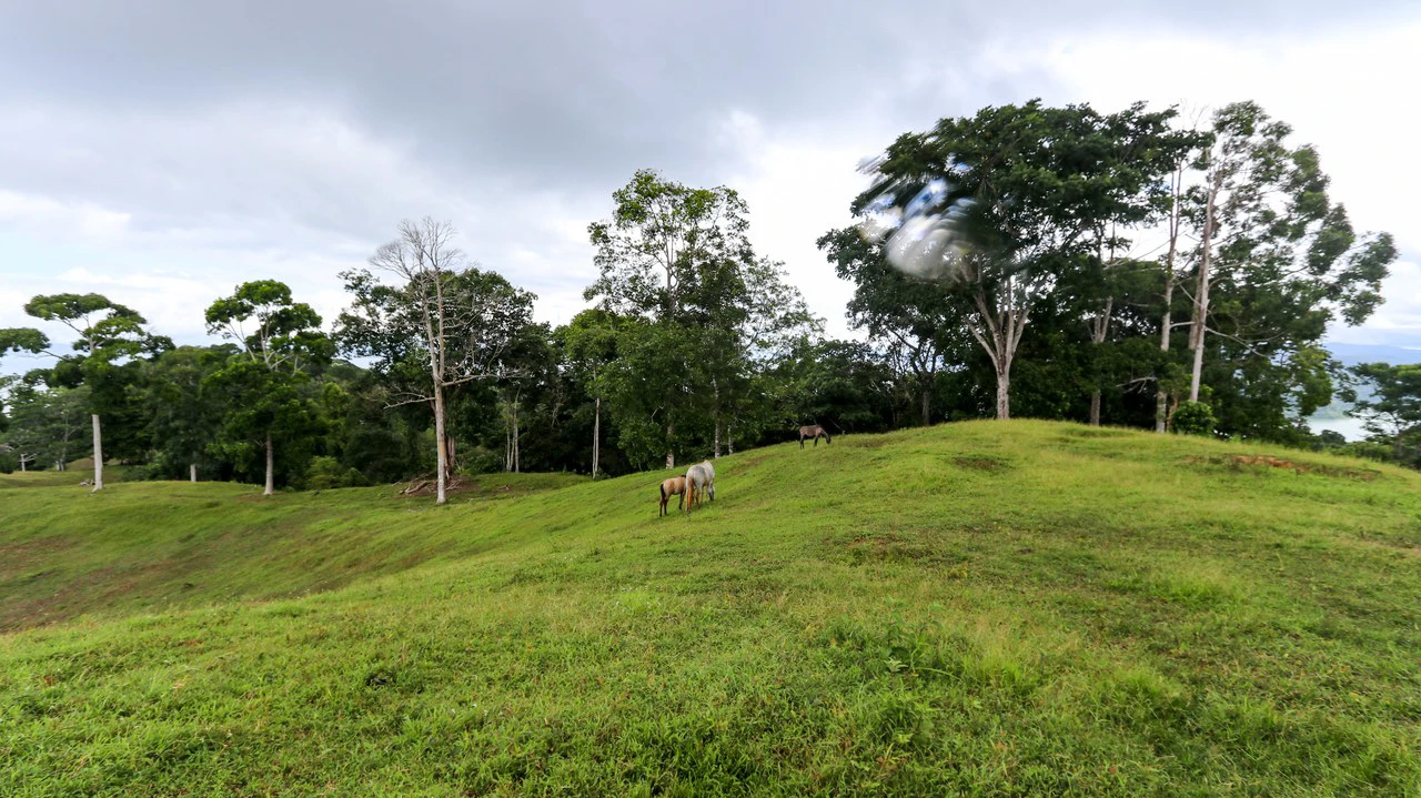 Unique Development Property Overlooking the Pristine Golfito Bay and Golfo Dulce - Gallery image 15