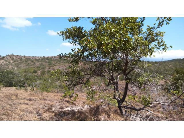 Huge Tico-Farm for sale with a big house in the mountains of Liberia, surrounded by nature and fantastic valley views - Gallery image 3