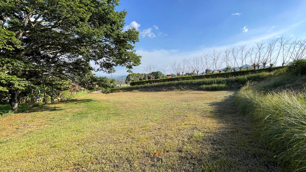 Lot in Barrio San José Sur , Atenas – Strategic Location - Gallery image 14